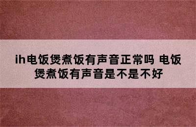 ih电饭煲煮饭有声音正常吗 电饭煲煮饭有声音是不是不好